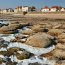 Rochers &agrave; mar&eacute;e basse &agrave; Ambleteuse