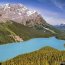 Lac Peyto - parc national de Banff