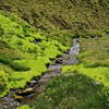 mousse vert fluo bordant les ruisseaux