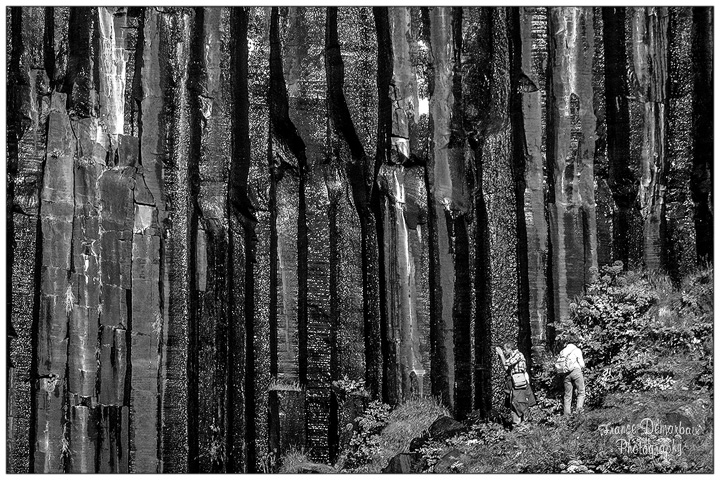 Orgues basaltiques de la cascade Svartifoss