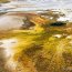 Détail d'algues dans les sources chaudes