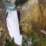 Chutes Lower Falls - Yellowstone