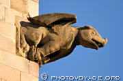 Gargouille représentant un dragon sur le mur latéral de la cathédrale 
- Barri Gotic