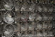 grille en fer forgé de la Casa Vicens au motif de feuille de palmier nain