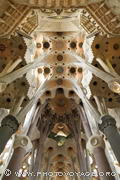 Gaudi s'inspira directement de la nature pour concevoir les piliers et le plafond 
de sa cathédrale. Les colonnes ont la forme de troncs d'arbres ramifiés 
se terminant par du feuillage.