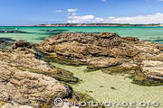 Rochers et eaux cristallines de la plage de Goulien sur la presqu'île de 
Crozon - Finistère