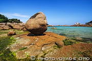 Rocher pos&eacute; sur un socle de granit rose entour&eacute; d'algues vertes dans l'anse de Saint Guirec &agrave; Ploumanach.