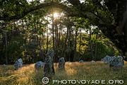 Menhirs de l'alignement de Kerlescan &agrave; Carnac