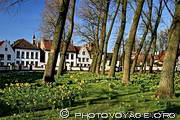 b&eacute;guinage au printemps - Ten Wijngaarde Begijnhof in lente