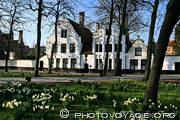 b&eacute;guinage au printemps - beguinage in spring - Begijnhof in lente