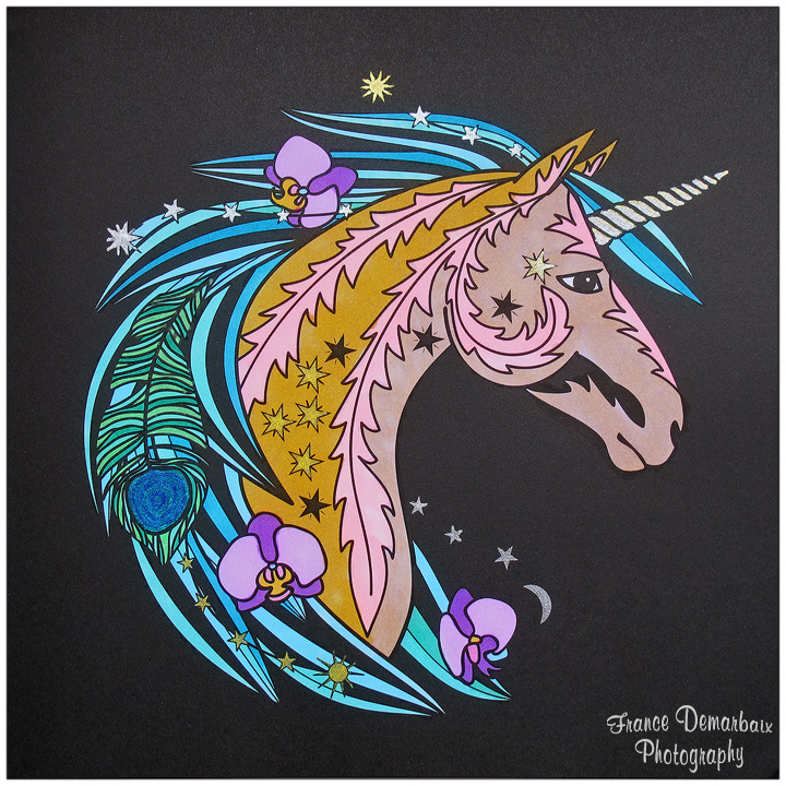 LICORNES - carnet de coloriage BLACK PREMIUM MARABOUT