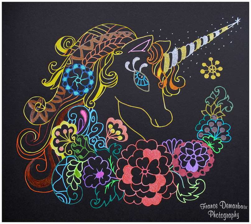 LICORNES - carnet de coloriage BLACK PREMIUM MARABOUT