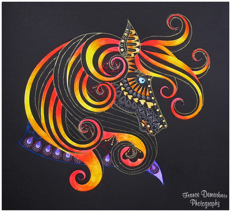 LICORNES - carnet de coloriage BLACK PREMIUM MARABOUT