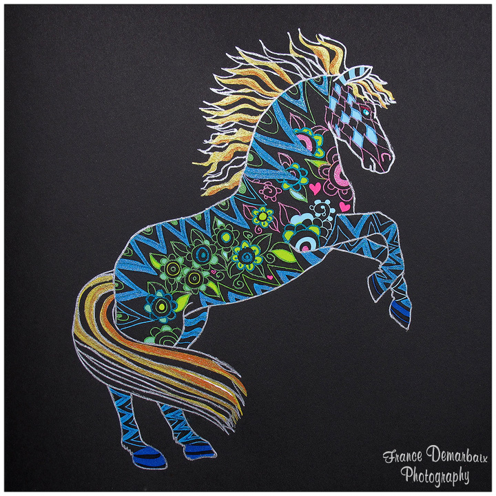 LICORNES - carnet de coloriage BLACK PREMIUM MARABOUT