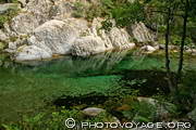 belle vasque d'eau verte invitant à la baignade dans les gorges de la Restonica