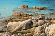 blocs de granit rose aux formes animales sur le littoral des Bruzzi