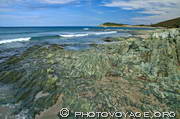 affleurement de schiste vert sur la plage de Cala qui mène de Barcaggio 
à la tour d'Agnello