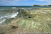 affleurement de schistes verts sur la plage menant à la tour génoise 
d'Agnellu