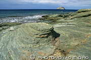 plaques de schiste vert typique de la géologie du Cap Corse