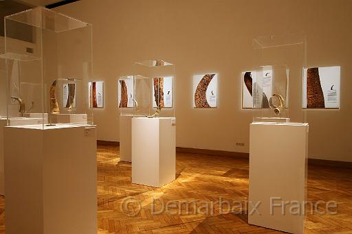FD_7831.jpg