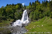 Cascade Steinsdalsfossen