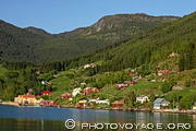 Rive verdoyante du Sognefjord parsemée de petites maisons rouges dans la baie d'Amla du côté de Kaupanger.