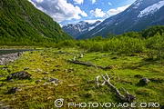 Parc National de Jostedalsbreen