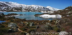 Lac Heillstuguvatnet le long de la Strynefjellsvegen