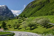 Vergers dans la vall&eacute;e Hjelledalen