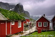 Rorbuer ou cabanes de pêcheurs rouges dans le village de Reine sur l'île de Moskenes (Moskenesøya) aux îles Lofoten.