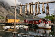 Port de Nusfjord avec des morues s&eacute;chant &agrave; l'avant plan