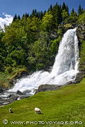 Cascade Steinsdalsfossen
