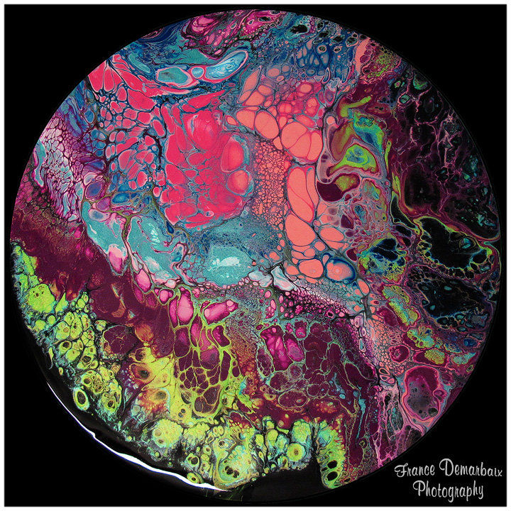 SIRENA - carton 26cm diam