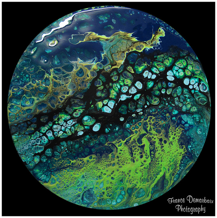 NESSIE monstre du Loch Ness - carton 26cm diam