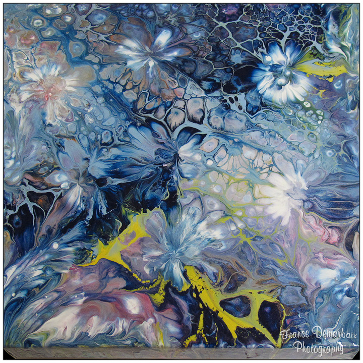 GALAXIE FLEURIE - toile 3D 29x29cm