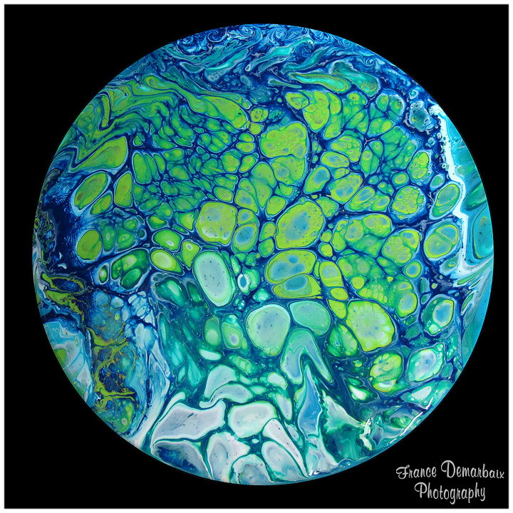 ATOLL - carton 26cm diam