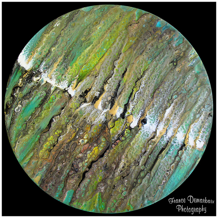 ALGUES MARINES - carton 26cm diam