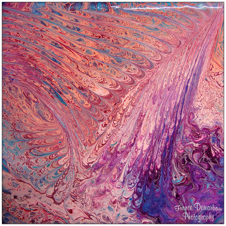 COLIBRI - toile 20x20cm