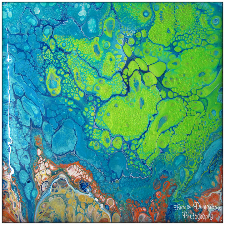 PANTANAL - toile 20x20cm