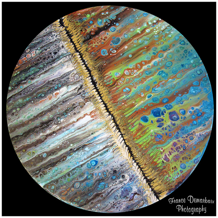 CHANGEMENT DE SAISON - carton 26cm diam