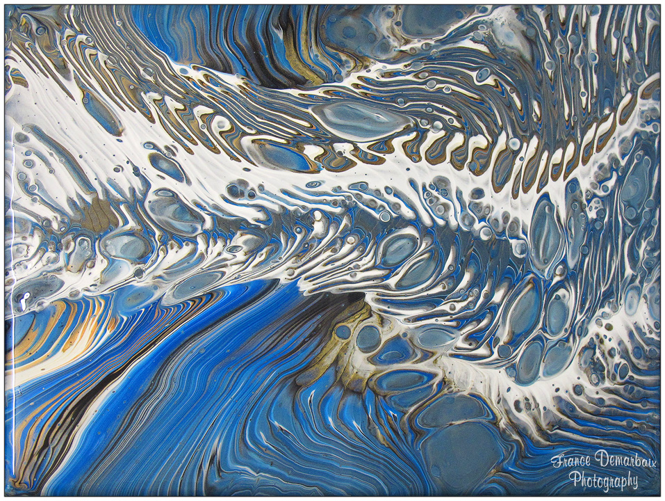 FOSSILE - toile 30x40cm