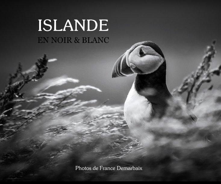 livre Islande en noir et blanc