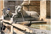 lions ornant la fontaine de Moïse