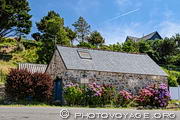 Gros massifs d'hortensias accolés à une maison de la rue de Goulien sur la presqu'île de Crozon dans le Finistère.