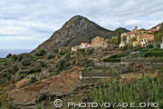 le village de Minervio ou Minerbio est un hameau de Barrettali - Cap Corse