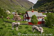 Vue bucolique sur le village de Borgund avec des agneaux broutant à l'avant plan. Borgund est situé sur la 630 entre Laerdal et Borlaug. Le village possède une des plus belles églises en bois debout de Norvège.