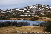 Lac Smeddalsvatnet à la fonte des neiges. La végétation a été roussie par le froid et les bourgeons n'ont pas encore éclos début juin.