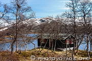 Chalet en bois entouré de bouleaux au bord du lac Otrovatnet à 975 mètres d'altitude.