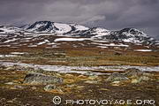 Parc national de Jotunheimen